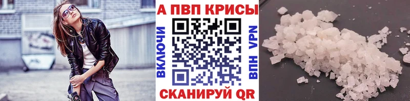 закладки  Западная Двина  Альфа ПВП СК 