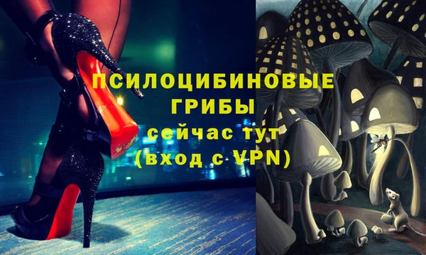 дмт Валдай