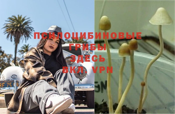 дмт Валдай