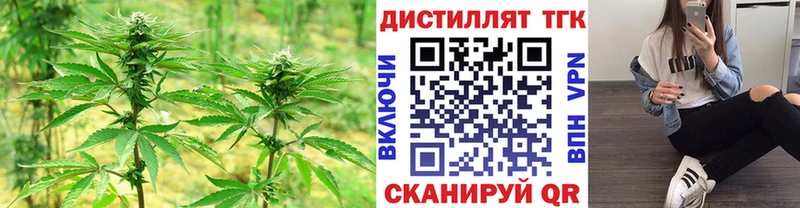 ТГК концентрат  МЕГА ссылки  Западная Двина 