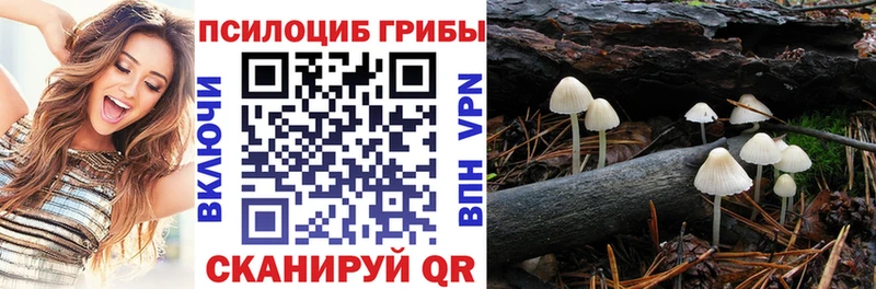 Псилоцибиновые грибы Magic Shrooms  цена   Западная Двина 