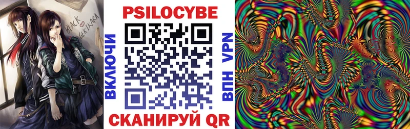 Галлюциногенные грибы Psilocybine cubensis Западная Двина